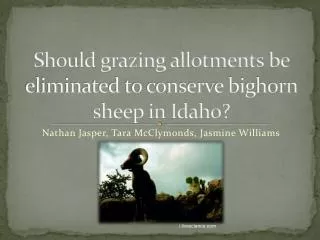 Should grazing allotments be eliminated to conserve bighorn sheep in Idaho?