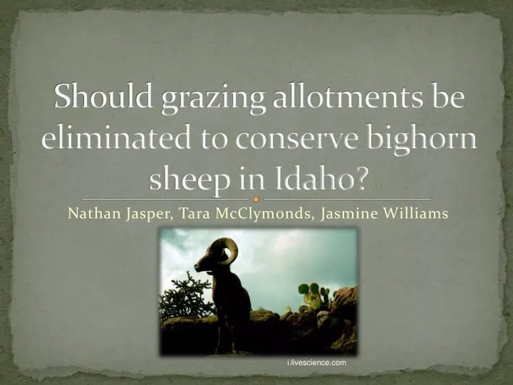 should grazing allotments be eliminated to conserve bighorn sheep in idaho