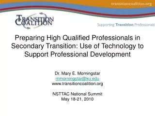 Preparing High Qualified Professionals in Secondary Transition: Use of Technology to Support Professional Development