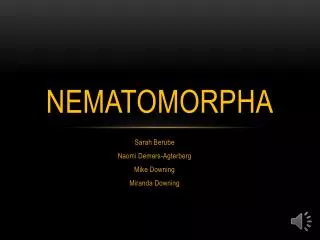 Nematomorpha