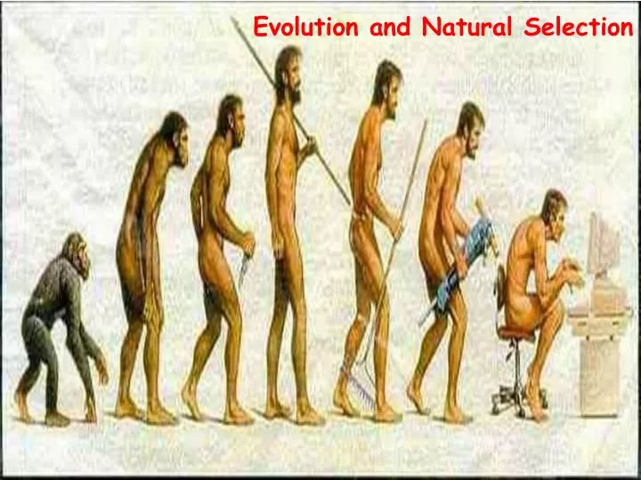 evolution and natural selection
