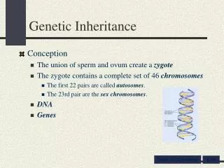 Genetic Inheritance