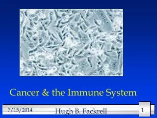 Cancer &amp; the Immune System