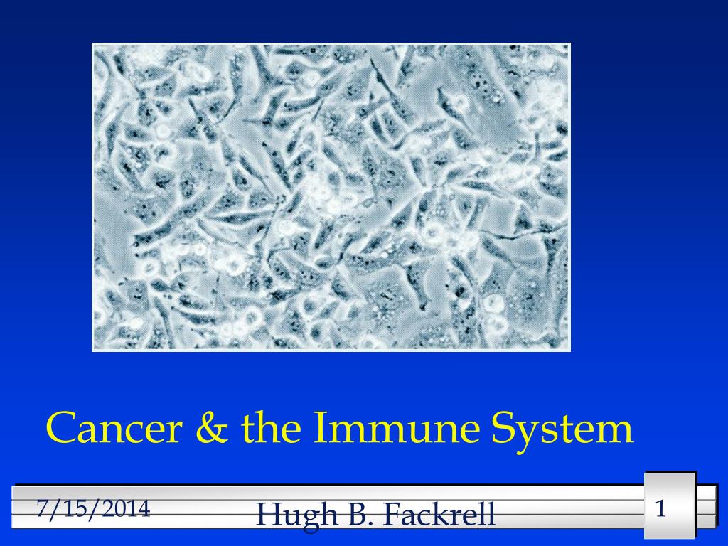 PPT - Cancer & the Immune System PowerPoint Presentation, free download ...
