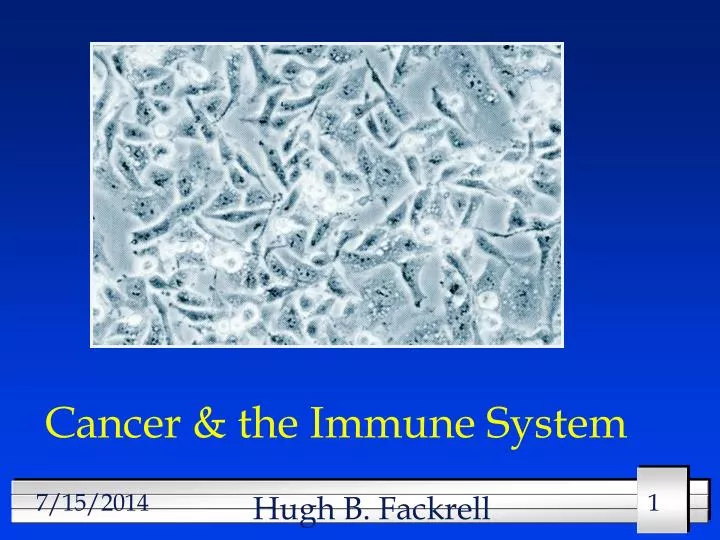 cancer the immune system