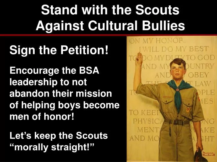 stand with the scouts against cultural bullies