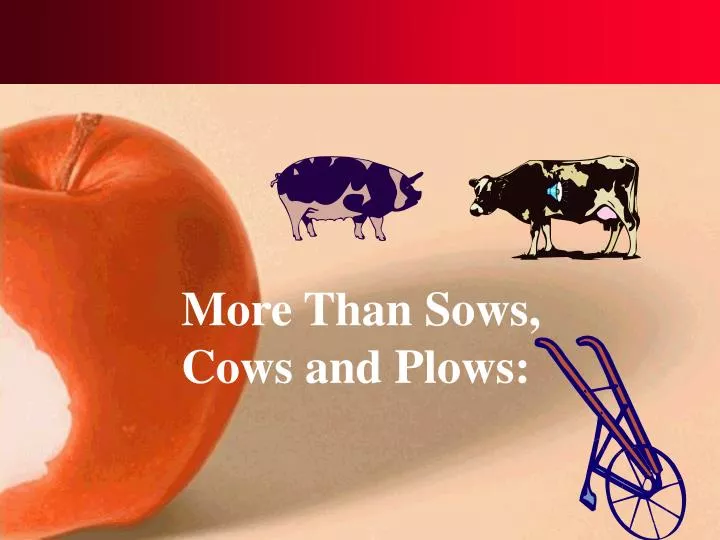 more than sows cows and plows