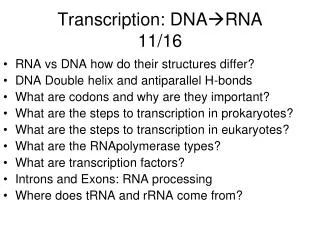 Transcription: DNA RNA 11/16
