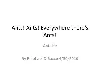 Ants! Ants! Everywhere there’s Ants!