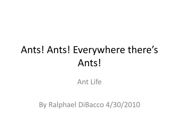 ants ants everywhere there s ants