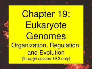 Chapter 19: Eukaryote Genomes Organization, Regulation, and Evolution (through section 19.2 only)
