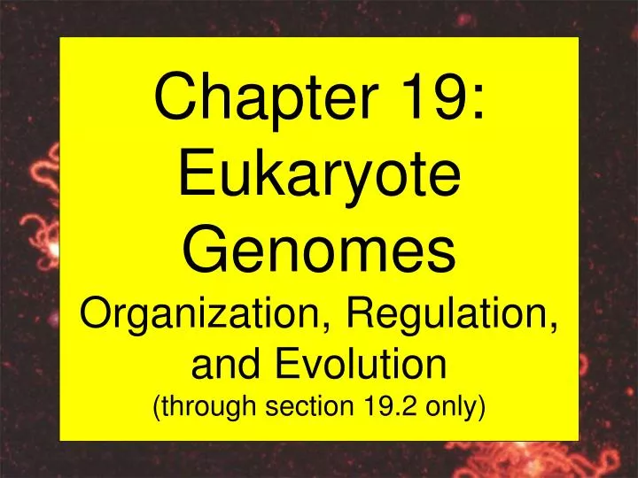 chapter 19 eukaryote genomes organization regulation and evolution through section 19 2 only