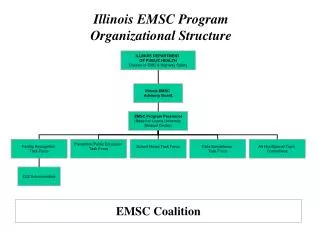 Illinois EMSC Program Organizational Structure
