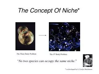 The Concept Of Niche *