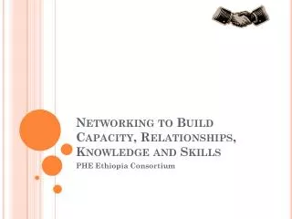 Networking to Build Capacity, Relationships, Knowledge and Skills