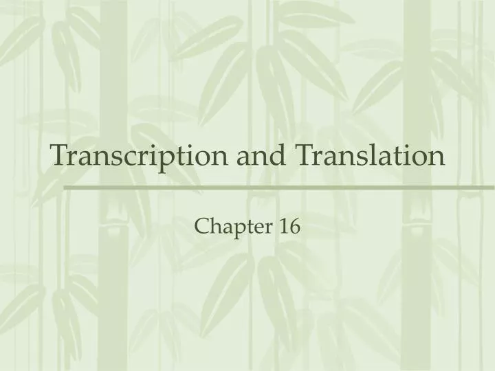 transcription and translation