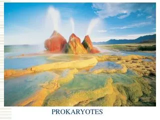 PROKARYOTES