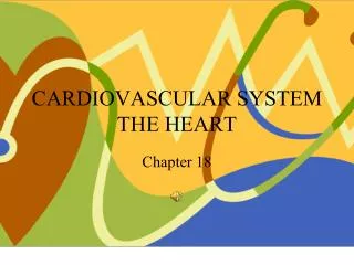 CARDIOVASCULAR SYSTEM THE HEART