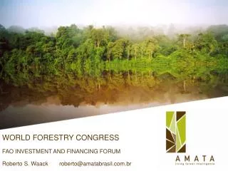 WORLD FORESTRY CONGRESS FAO INVESTMENT AND FINANCING FORUM Roberto S. Waack roberto@amatabrasil.com.br