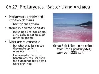 Ch 27: Prokaryotes - Bacteria and Archaea