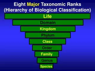 Eight Major Taxonomic Ranks (Hierarchy of Biological Classification)