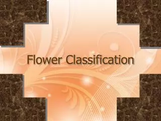 Flower Classification