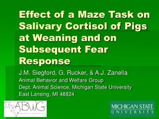 Effect of a Maze Task on Salivary Cortisol of Pigs at Weaning and on Subsequent Fear Response