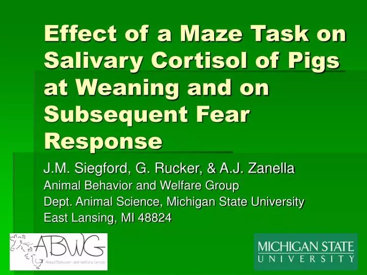 effect of a maze task on salivary cortisol of pigs at weaning and on subsequent fear response