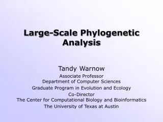 Large-Scale Phylogenetic Analysis