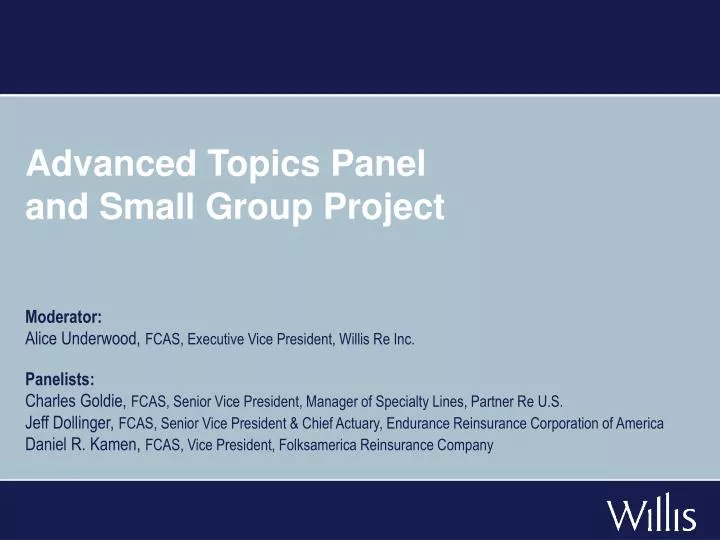 advanced topics panel and small group project