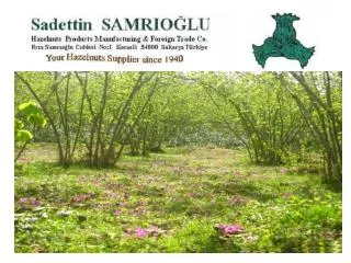 Welcome to SAMRIOĞLU HAZELNUTS, DRIED FRUITS &amp; CHESTNUTS EXPORT  TO  THE  WHOLE WORLD 