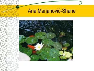 Ana Marjanovi? -Shane