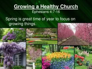 Growing a Healthy Church Ephesians 4:7-16