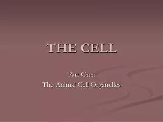 THE CELL