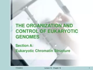 THE ORGANIZATION AND CONTROL OF EUKARYOTIC GENOMES