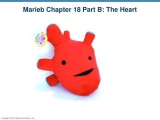 Marieb Chapter 18 Part B: The Heart