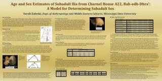 Age and Sex Estimates of Subadult Ilia from Charnel House A22, Bab-edh-Dhra': A Model for Determining Subadult Sex