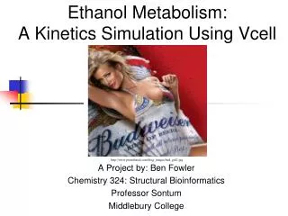 Ethanol Metabolism: A Kinetics Simulation Using Vcell