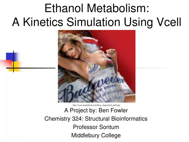 ethanol metabolism a kinetics simulation using vcell