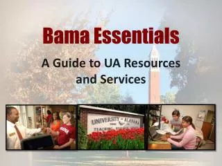 Bama Essentials
