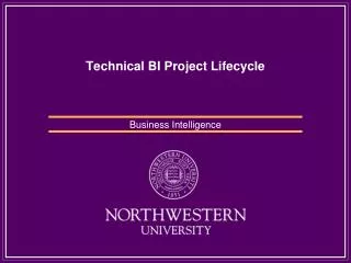 Technical BI Project Lifecycle