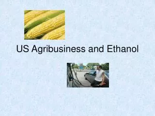 US Agribusiness and Ethanol