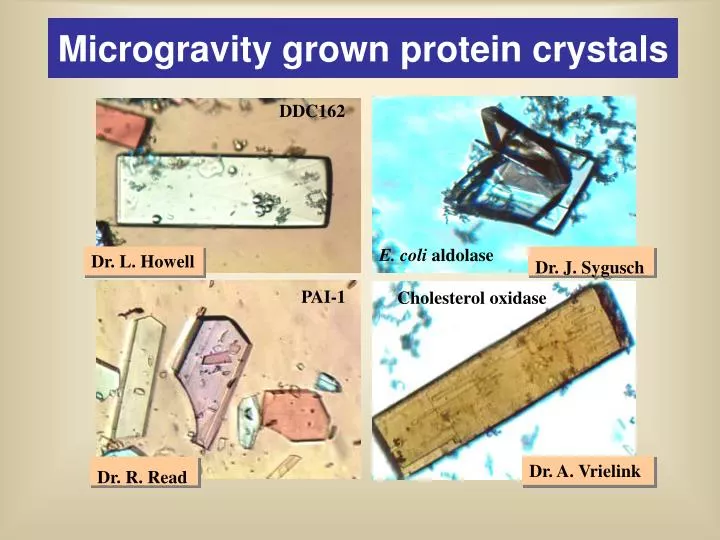 microgravity grown protein crystals