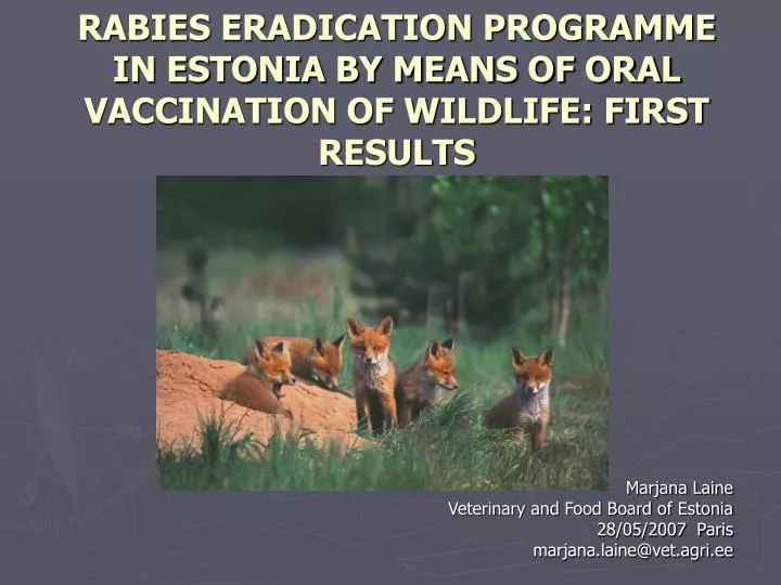 rabies eradication programme in estonia by means of oral vaccination of wildlife first results