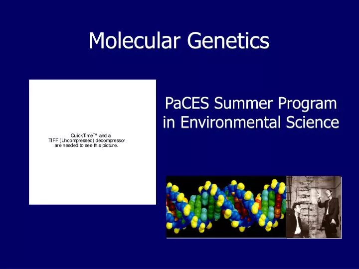 molecular genetics