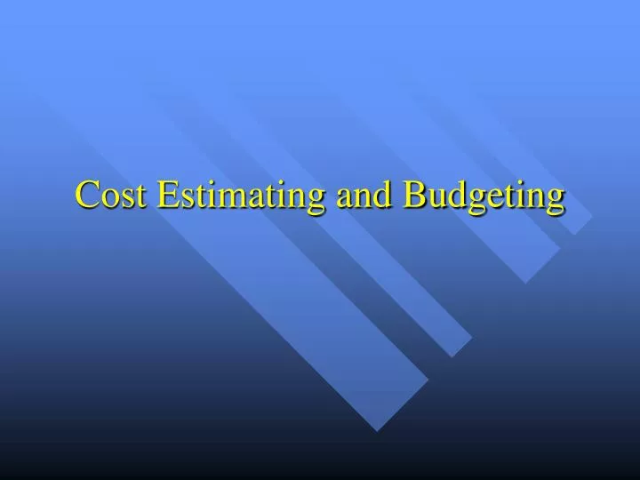 cost estimating and budgeting