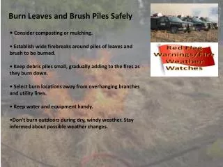 Burn Leaves and Brush Piles Safely