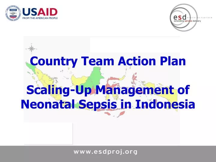 country team action plan scaling up management of neonatal sepsis in indonesia