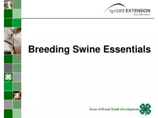 Breeding Swine Essentials