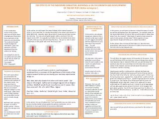 THE EFFECTS OF THE ENDOCRINE DISRUPTOR, BISPHENOL-A ON THE GROWTH AND DEVELOPMENT OF THE RAT PUP ( Rattus norvegicus )